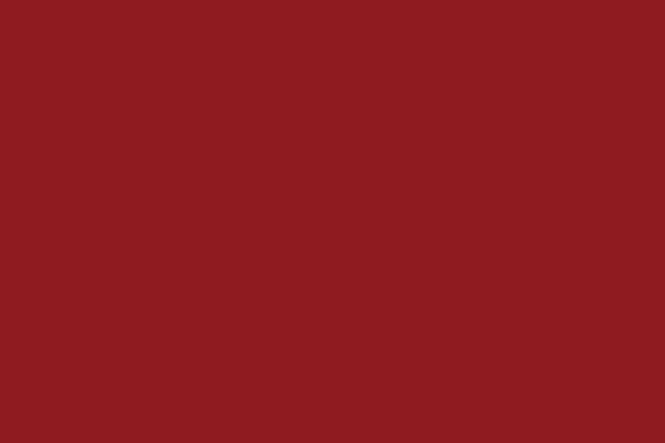 Akrilni panel s bazom MDF-a - 301 crvena